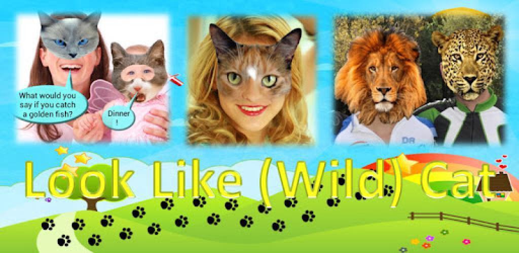 Look Like Cat