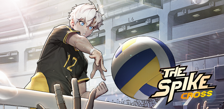 The Spike Cross – Volleyball