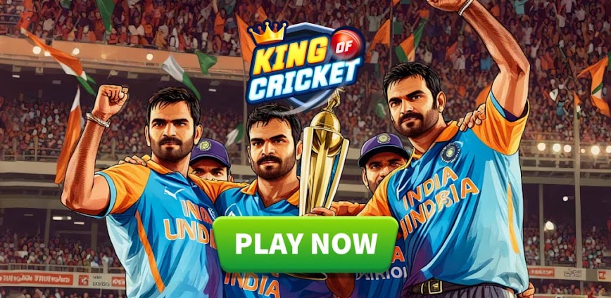 King Of Cricket Games