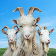 Goat Simulator 3 Goat Simulator 3